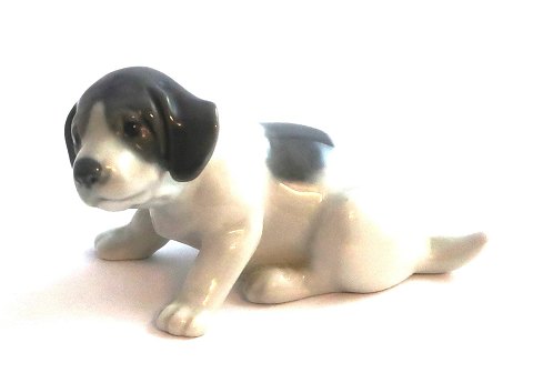 Royal Copenhagen. Porcelain figure. Pointer puppy. Model 1311. Length 10 cm. (1 
quality)