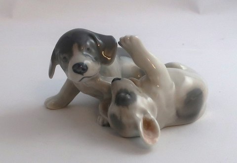 Royal Copenhagen. Porcelain figure. Playing Pointer puppies. Model 453. Length 
10 cm. (1 quality)