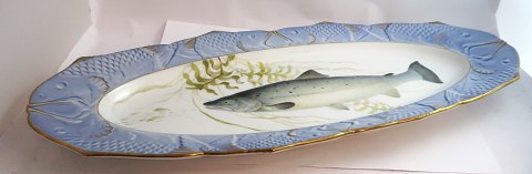 Royal Copenhagen. Fish set No.19. Oval fish platter. Salmo salar. Length 61 cm. 
Width 25 cm. Produced before 1923. (1 quality)