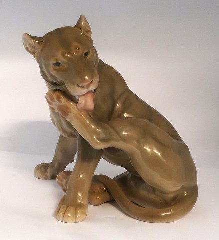 Bing & Grondahl. Lioness. Model 2051. Height 22 cm. (2 quality)