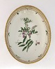 Royal Copenhagen. Flora Danica. Oval bowl. Length 27.5 cm. Width 21 cm. Model # 
3507 (1 quality). Lathyrus paluster L
