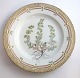 Royal Copenhagen Flora Danica. Dinner plate. Design # 3549. Diameter 25 cm. (1 
quality). Artemisia rupestris L