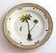 Royal Copenhagen, Flora Danica. Cake plate. Design # 3551. Diameter 17 cm. (1 
quality). Helleborus hyemalis L