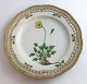 Royal Copenhagen Flora Danica. Lunch plate with open-work border. Design # 3554. 
Diameter 23 cm. (1 quality). Papaver nudicaule L