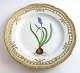 Royal Copenhagen. Flora Danica plate. Diameter 25 cm. (3553). (1 quality). 
Muscari botryoides Dc