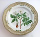 Royal Copenhagen. Flora Danica plate. Diameter 25 cm. (3553). (1 quality). Rosa 
mollissima Willd