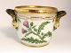 Royal Copenhagen. Flora Danica. Wine cooler, model # 3570. 125 cl. Height 12 cm. 
 (1 quality). Anemone Richardsoni Hook  Carduus crispus L