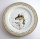 Royal Copenhagen. Fauna Danica. Fish Plate. Dinner plate. Model # 19 - 3549. Diameter 25 cm. (1 quality). Gobius niger