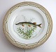 Royal Copenhagen. Fauna Danica. Fish Plate. Dinner plate. Model # 19 - 3549. Diameter 25 cm. (1 quality). Esox lucius