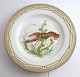 Royal Copenhagen. Fauna Danica. Fish Plate. Dinner plate. Model # 19 - 3549. Diameter 25 cm. (1 quality). Nephrops norvegicus