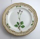 Royal Copenhagen Flora Danica. Lunch plate with open-work border. Design # 3554. Diameter 23 cm. (1 quality). Saxifraga nivalis L