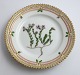 Royal Copenhagen, Flora Danica. Cake plate. Design # 3552. Diameter 14,5 cm. (1 quality). Sedum anglicum Huds