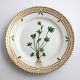 Royal Copenhagen, Flora Danica. Cake plate. Design # 3552. Diameter 14,5 cm. (1 quality). Ranunculus pygmaeus