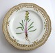 Royal Copenhagen Flora Danica. Lunch plate with open-work border. Design # 3554. Diameter 23 cm. (1 quality). Pedicularis flammea L